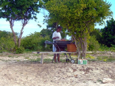 Melanie Heinrich - Travel Images - Barbuda